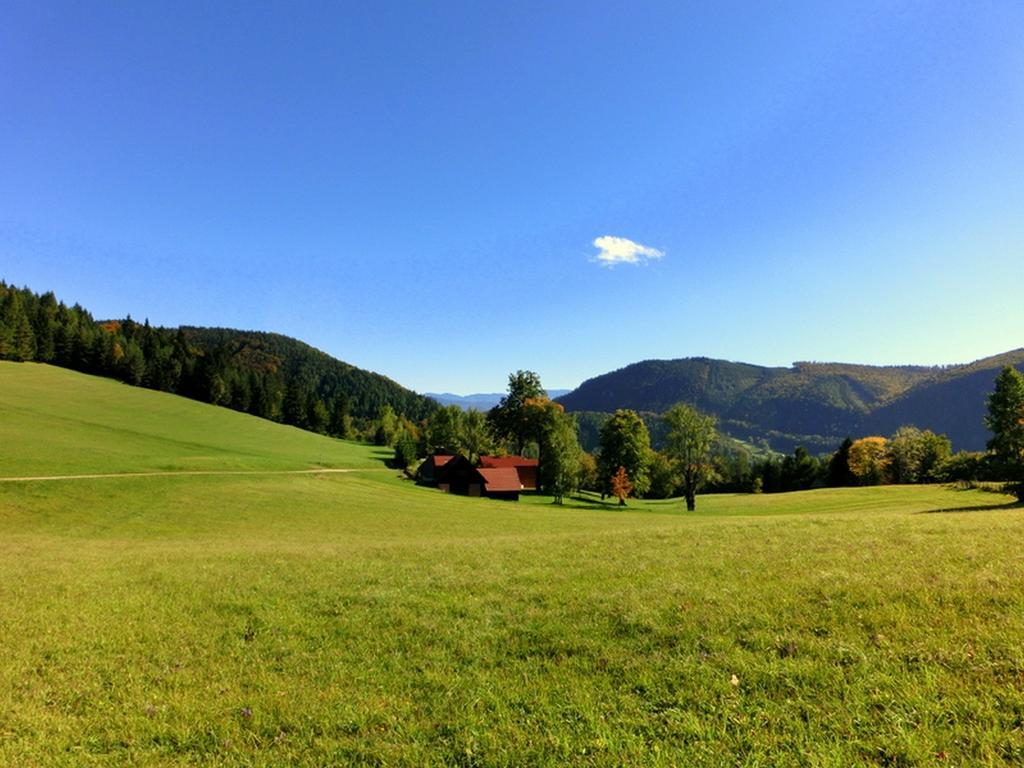 Gaestehaus Forstner Loich ภายนอก รูปภาพ