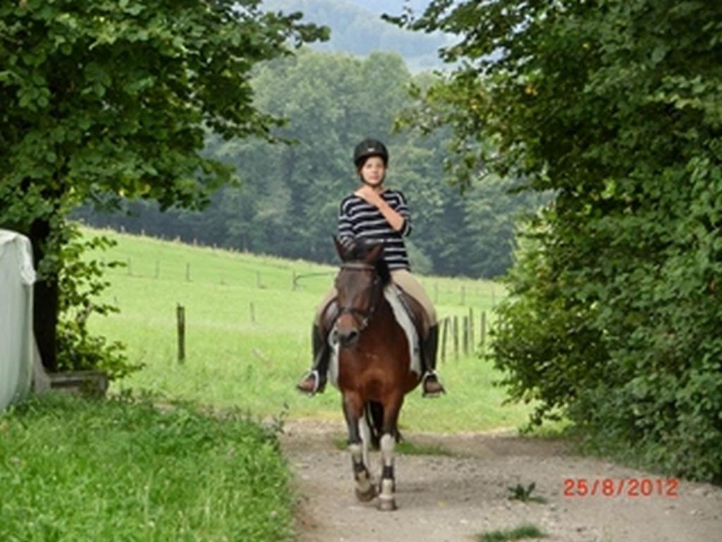 Gaestehaus Forstner Loich ภายนอก รูปภาพ