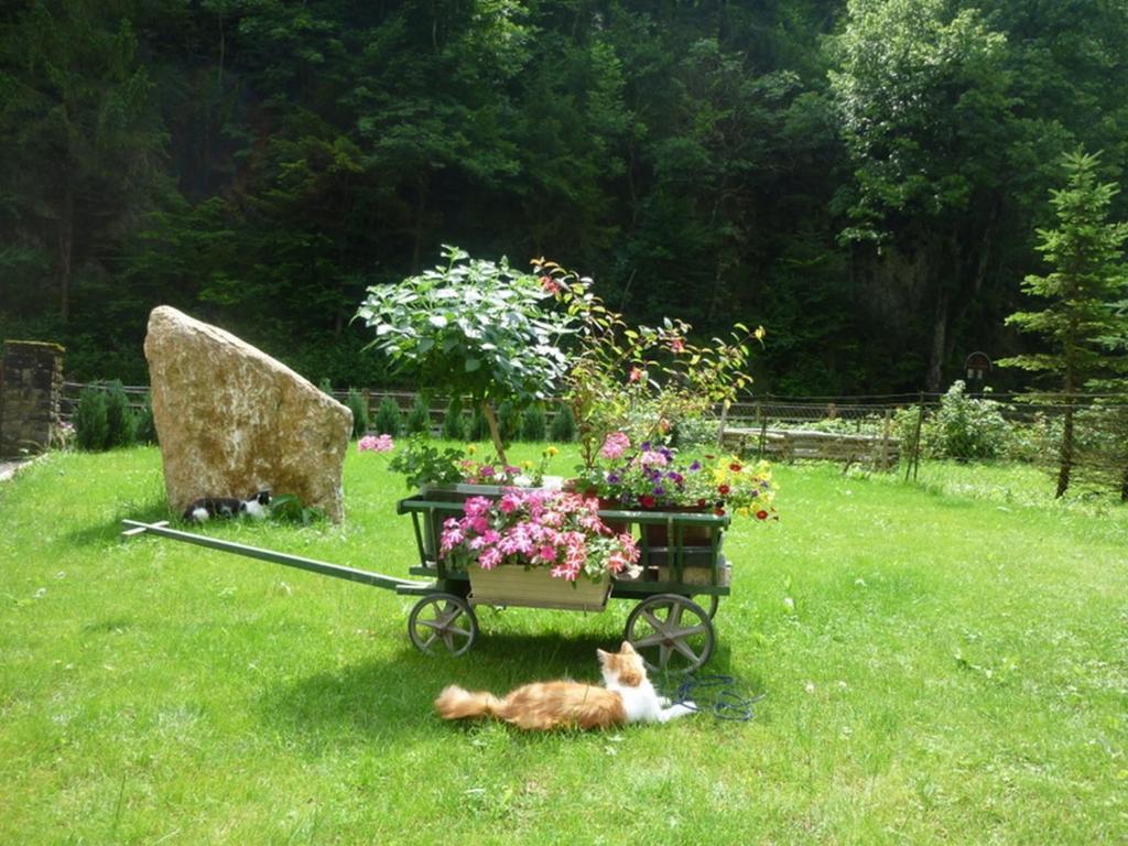 Gaestehaus Forstner Loich ภายนอก รูปภาพ
