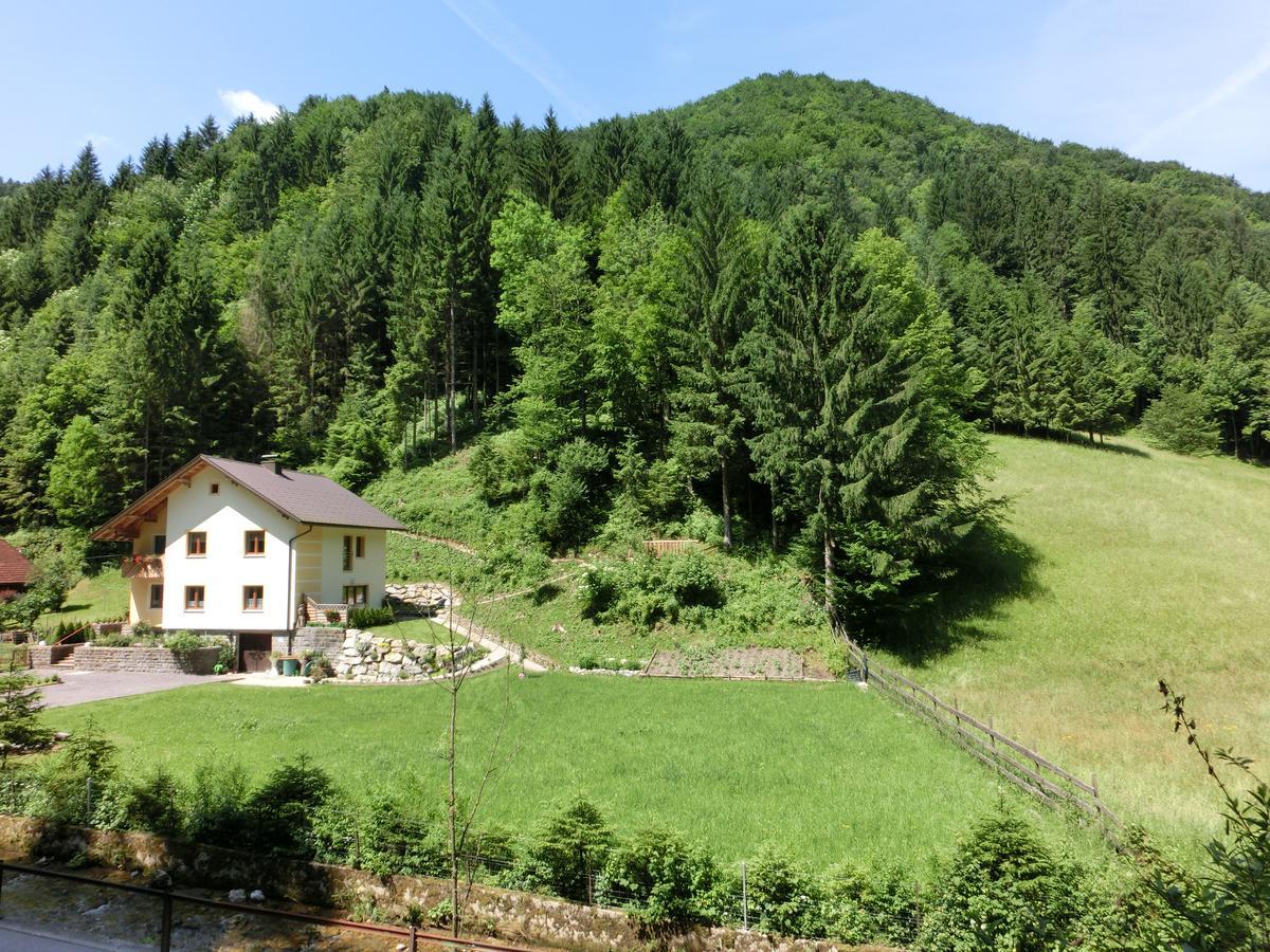 Gaestehaus Forstner Loich ภายนอก รูปภาพ