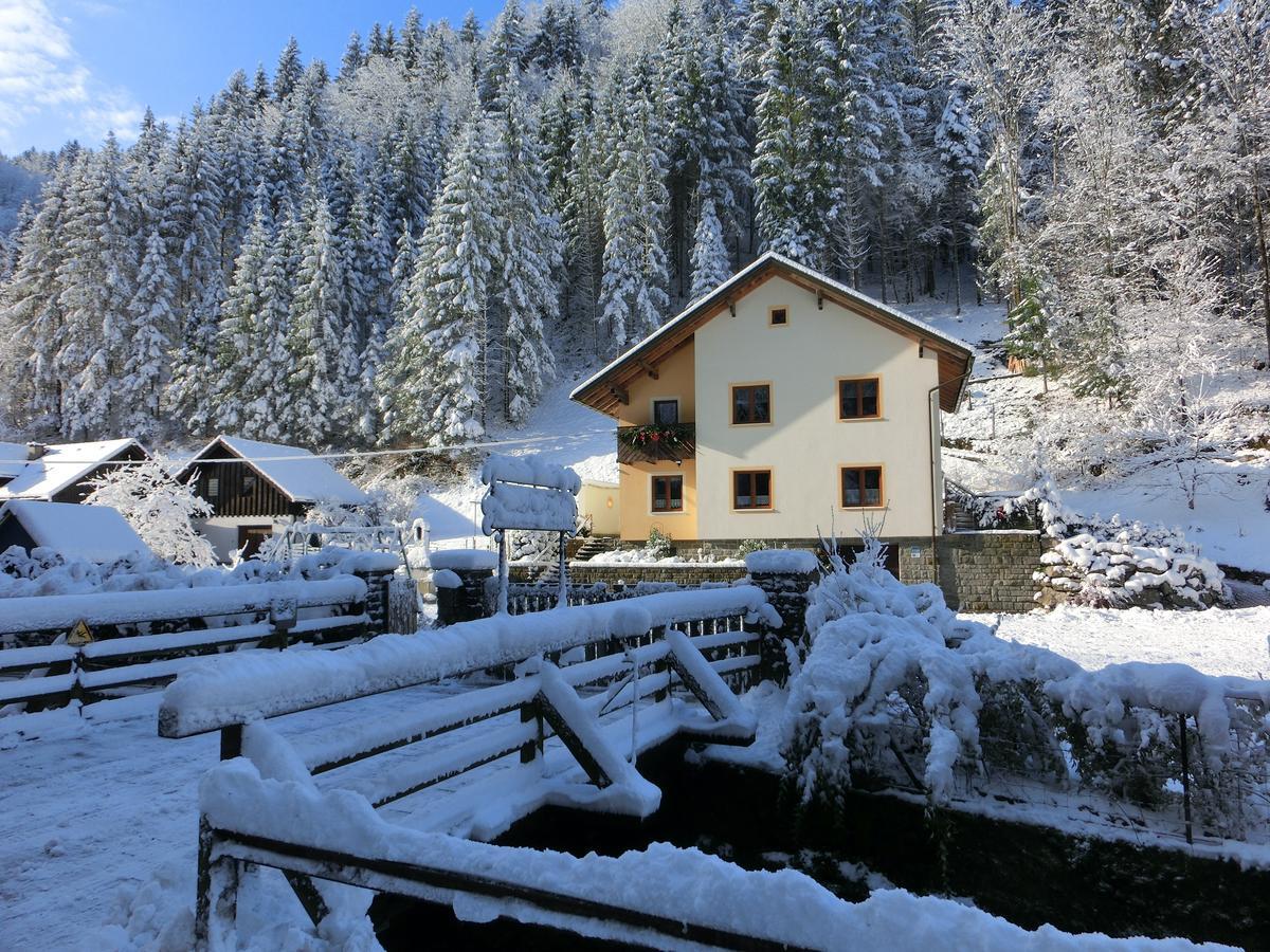 Gaestehaus Forstner Loich ภายนอก รูปภาพ